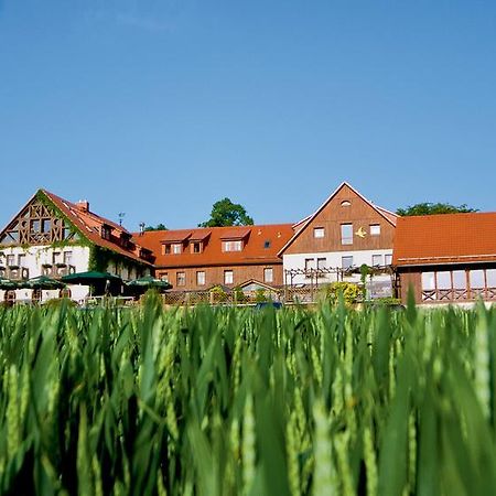 Hotel Neue Hoehe Klingenberg Exterior foto