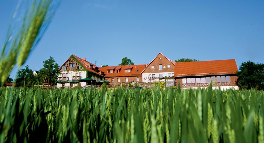 Hotel Neue Hoehe Klingenberg Exterior foto
